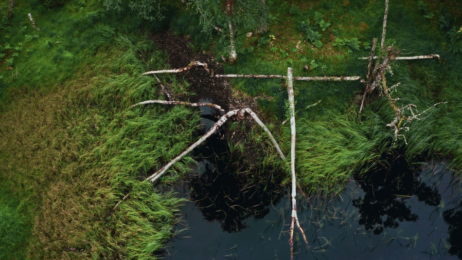 Wild Spaces - Episode 4